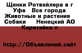 Щенки Ротвейлера в г.Уфа - Все города Животные и растения » Собаки   . Ненецкий АО,Каратайка п.